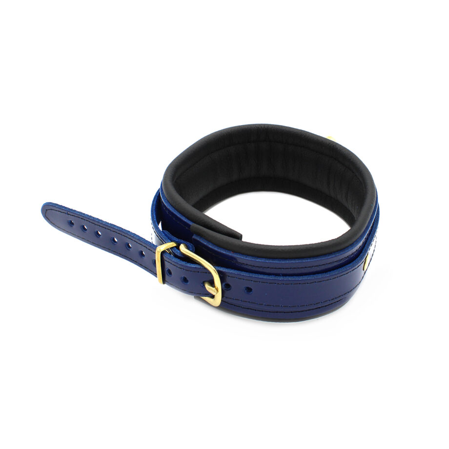 Blue Leather Collar