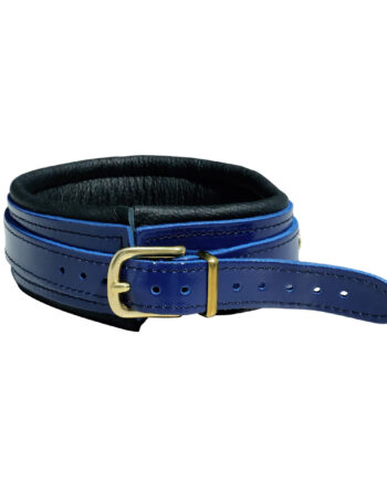 Blue Leather Collar