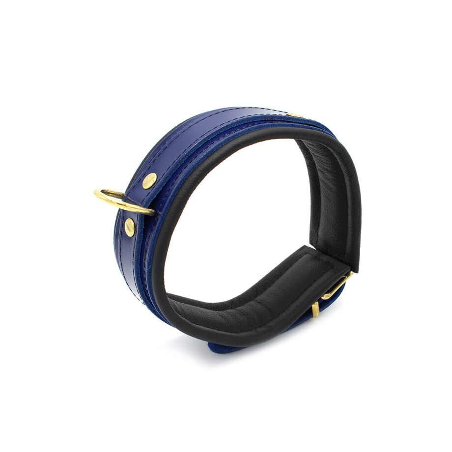 Blue Leather Collar