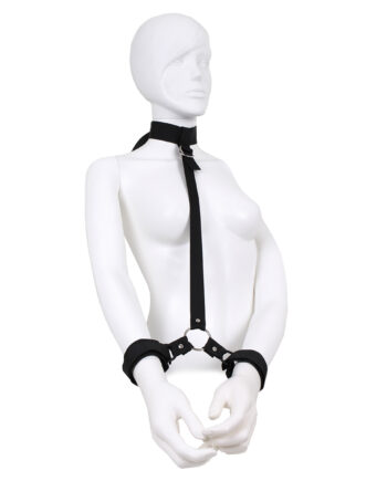 Budget Collar & Wrist Restraints