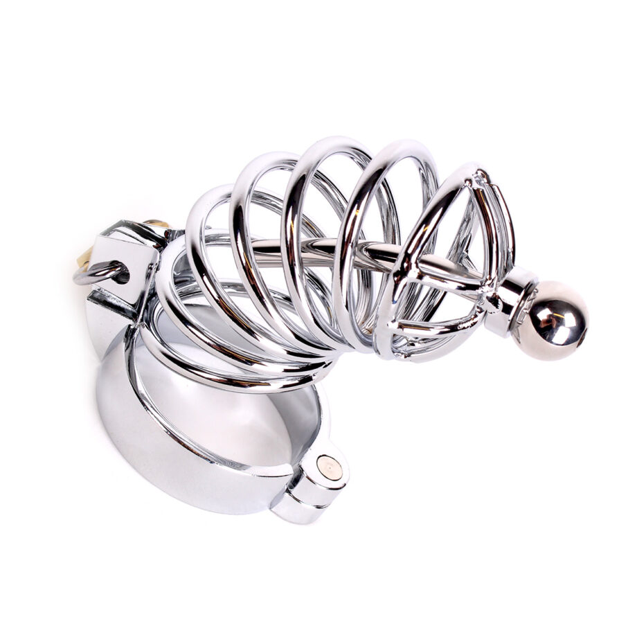 Chastity Cage /w Penis Stick