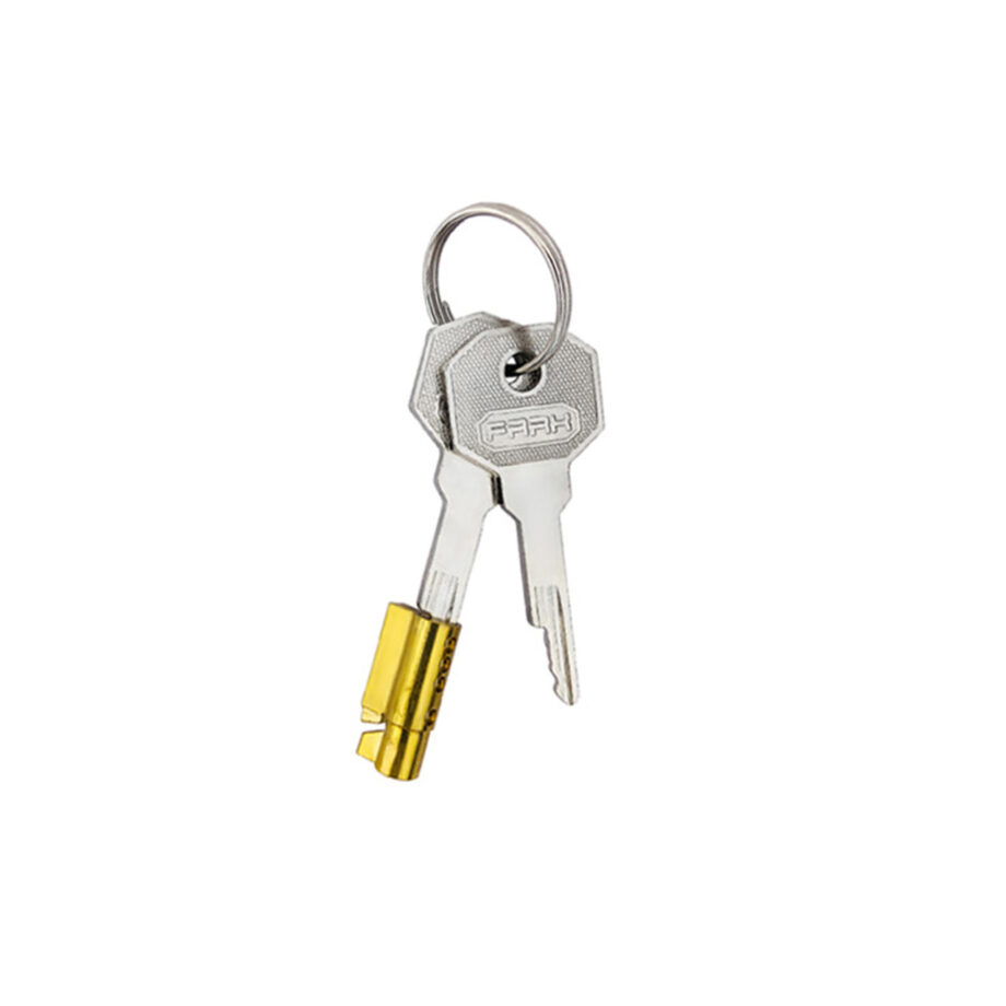 Chastity Device Modern with Belt