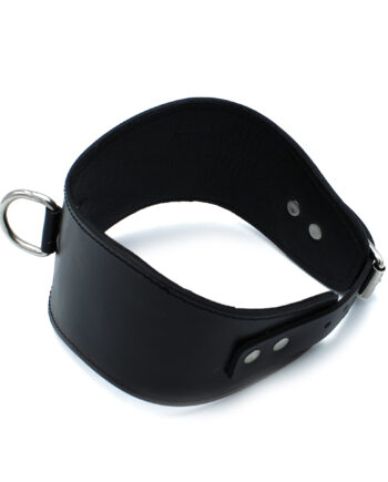 Contoured Black Leather Collar with D-Ring