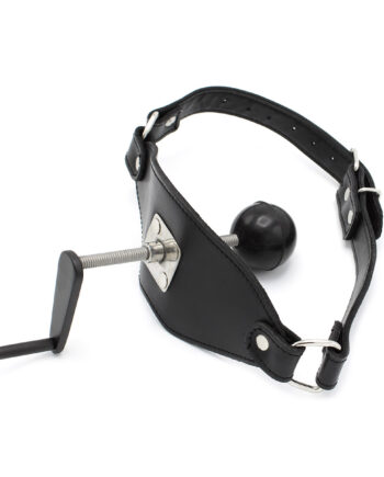 Deep Throat Screwed Ball Gag