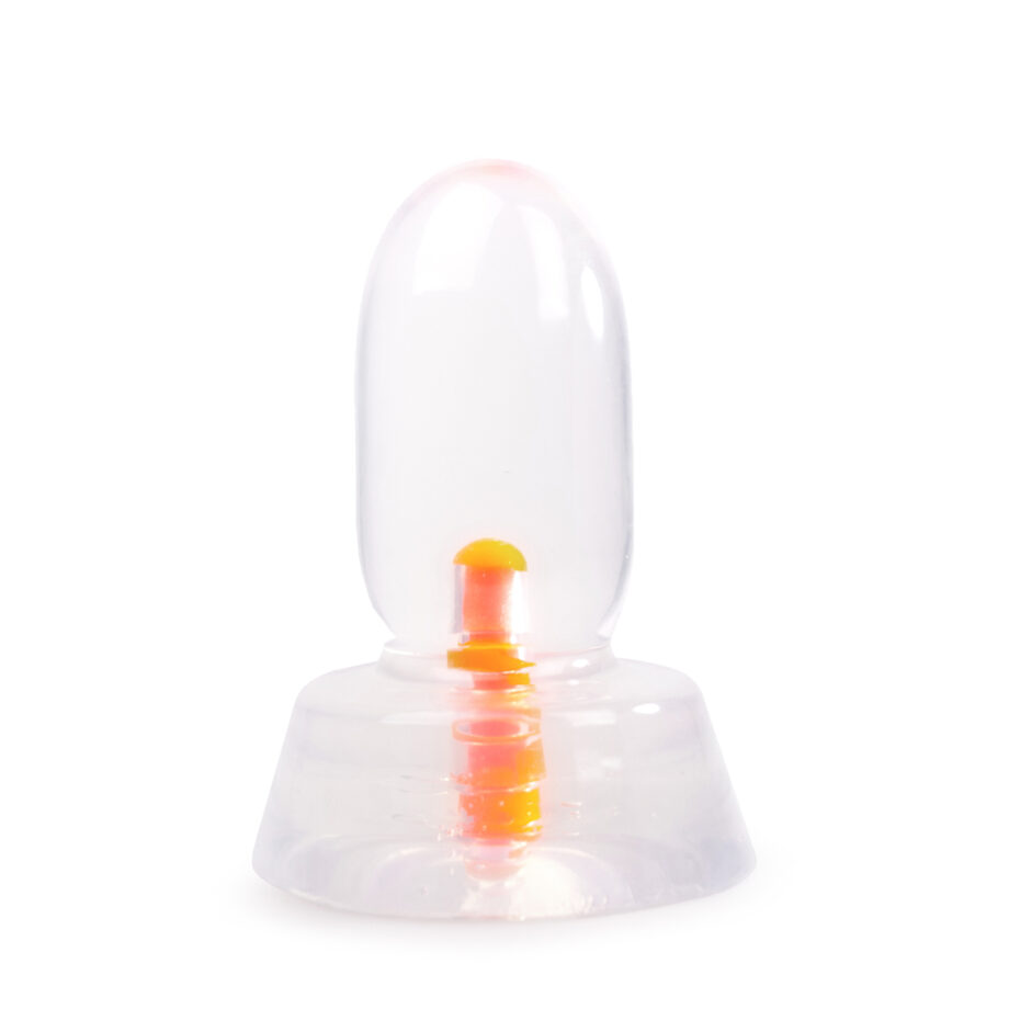 Dinoo Primal - Bracho Clear