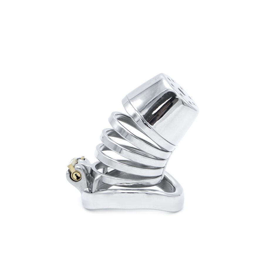 Future Chastity Device