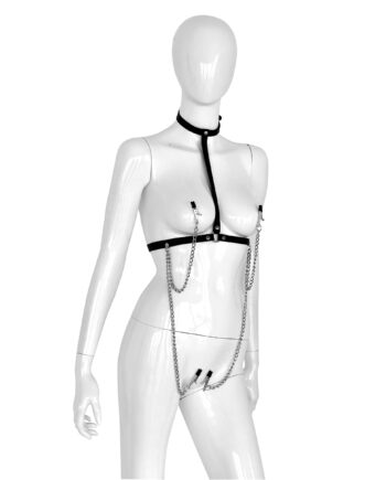 Leather Collar Chest with 4 Clamps