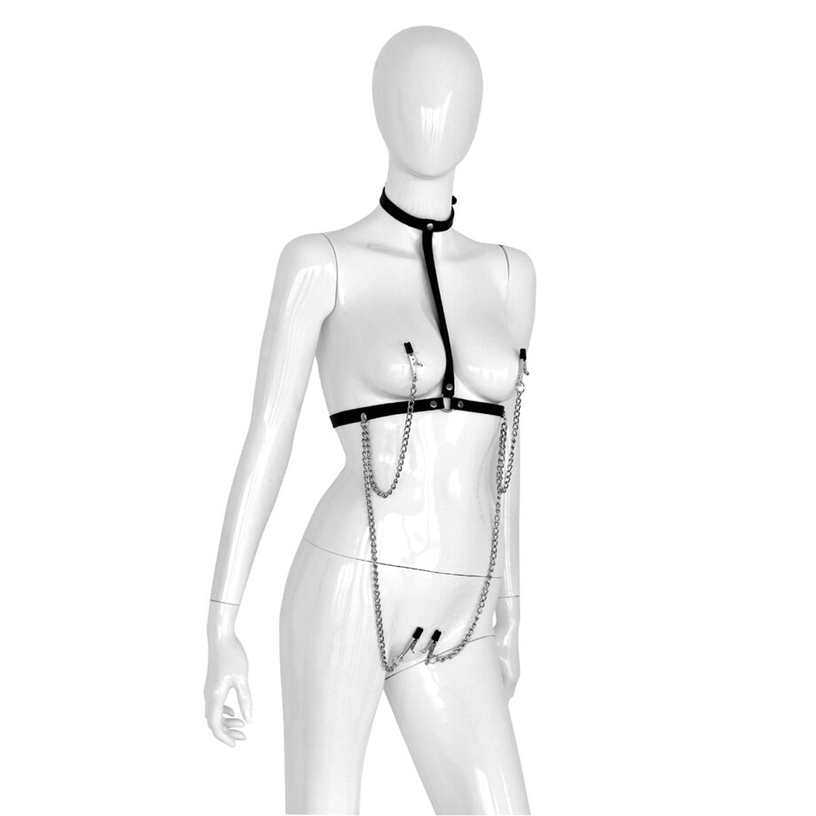Leather Collar Chest with 4 Clamps
