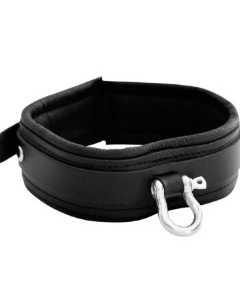 Leather Collar with Metal Shackle
