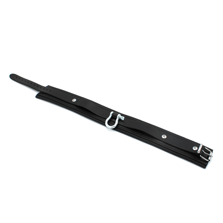 Leather Collar with Metal Shackle