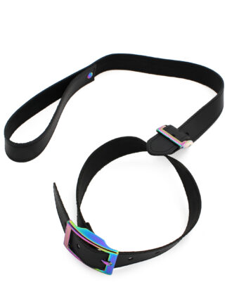 Leather Collar with leash Rainbow