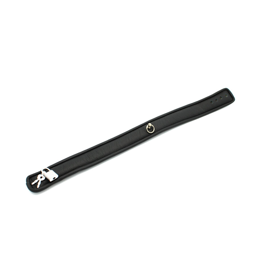 Leather Padded Collar Mini O-ring with Lock
