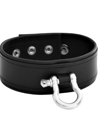 Leather Push Button Collar with Metal Shackle