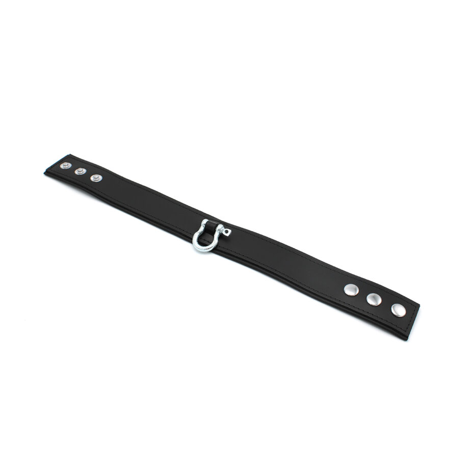 Leather Push Button Collar with Metal Shackle