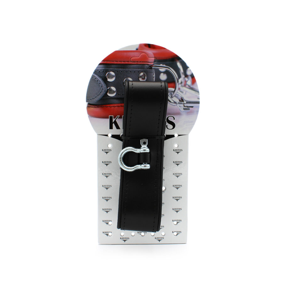 Leather Push Button Collar with Metal Shackle
