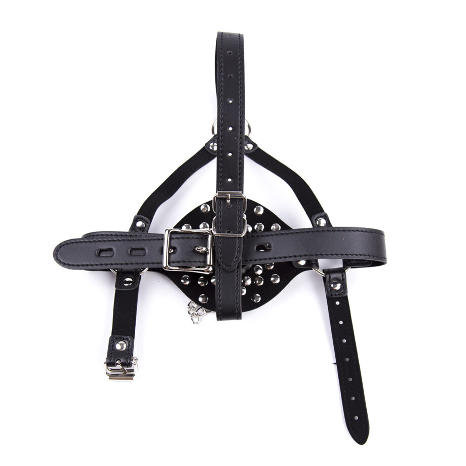 Lid Head Harness Gag