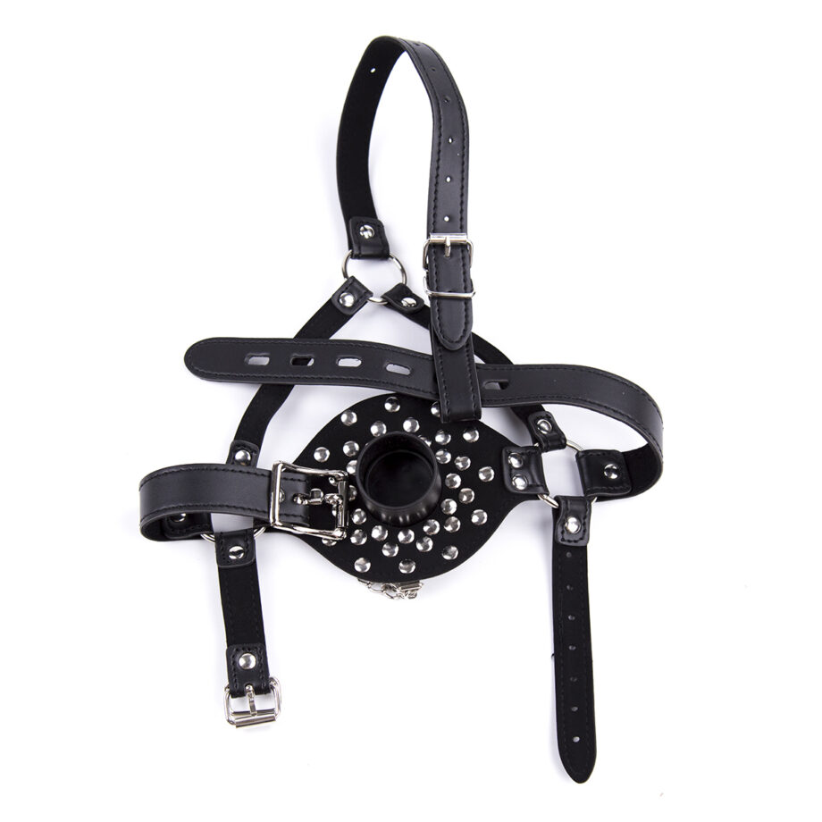 Lid Head Harness Gag