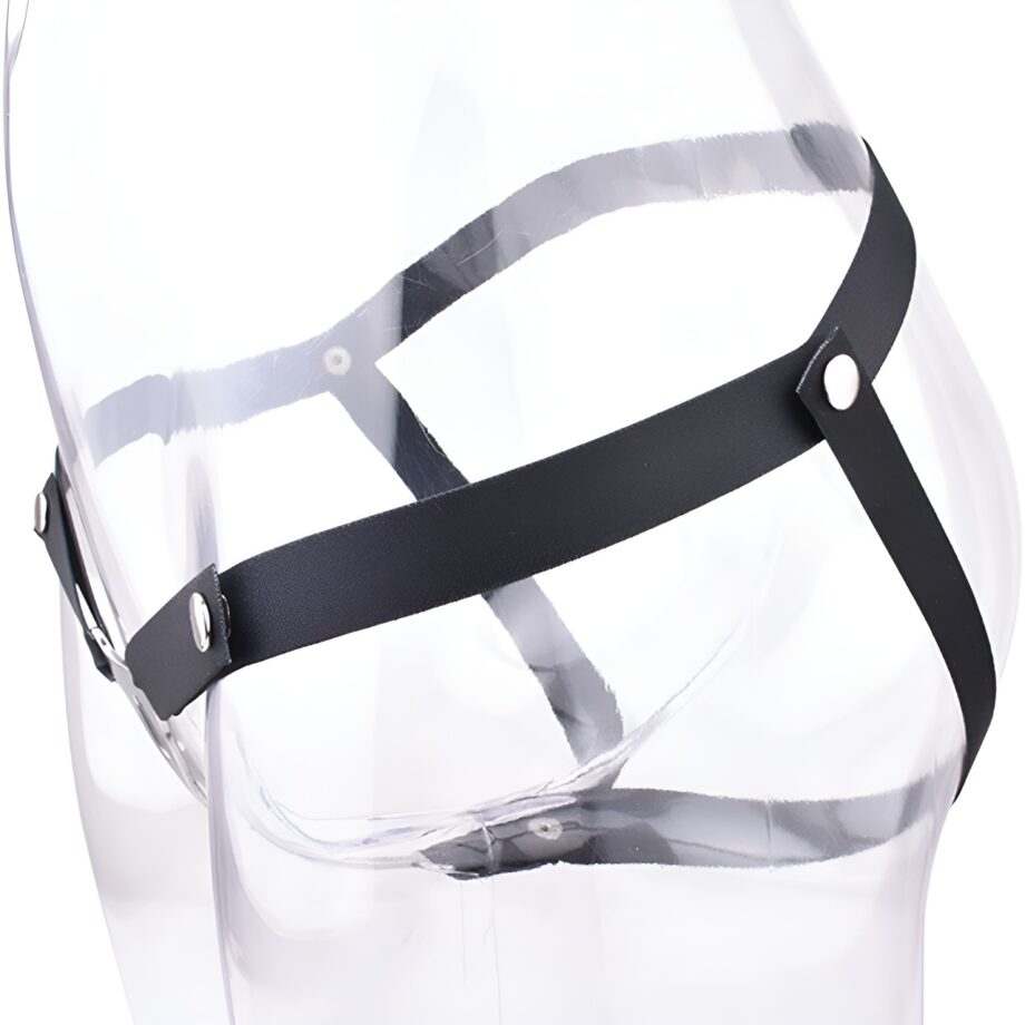 Male to Female Adjustable Chastity Device with Belt