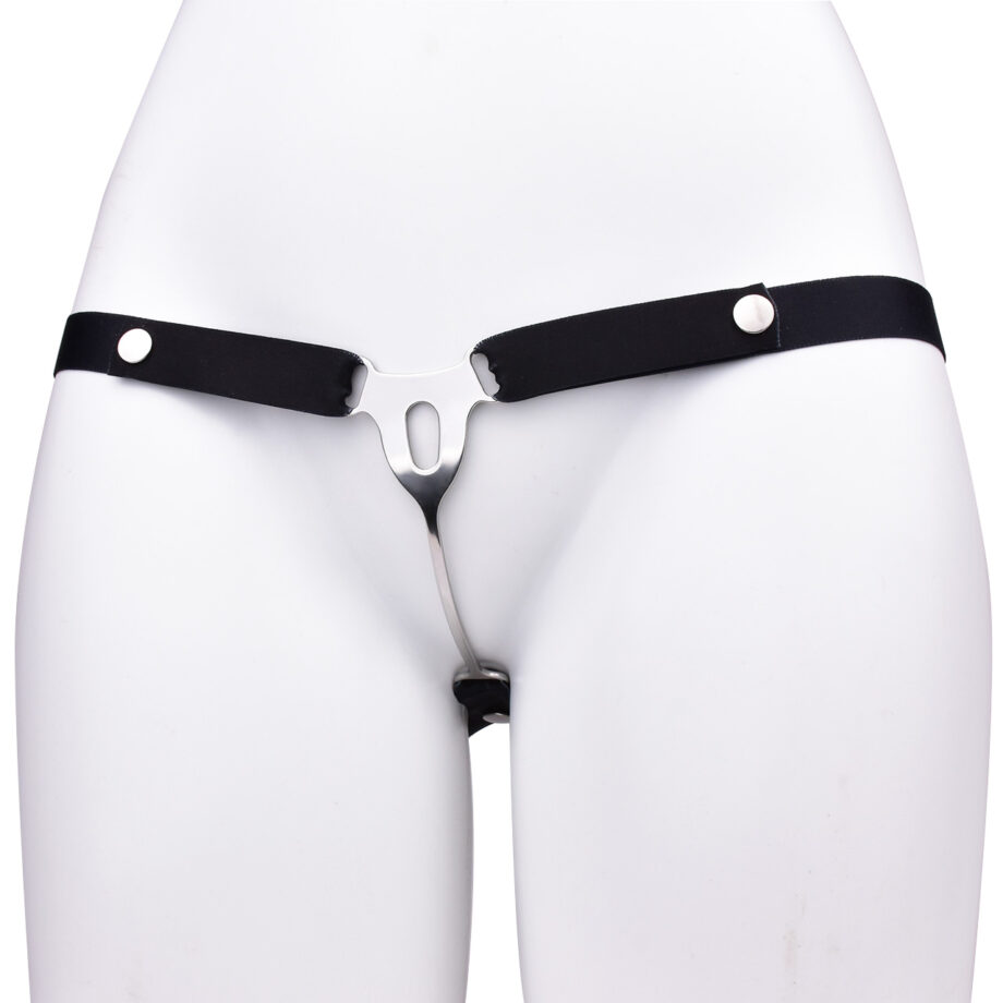 Male to Female Chastity Plate with Belt