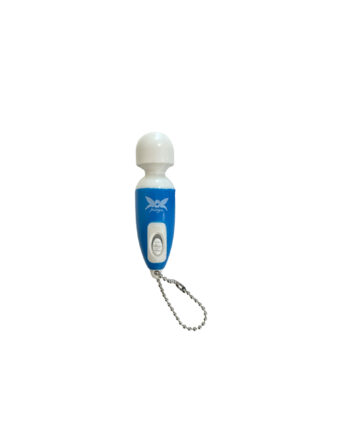 Mini Pixey Key Chain Gadget
