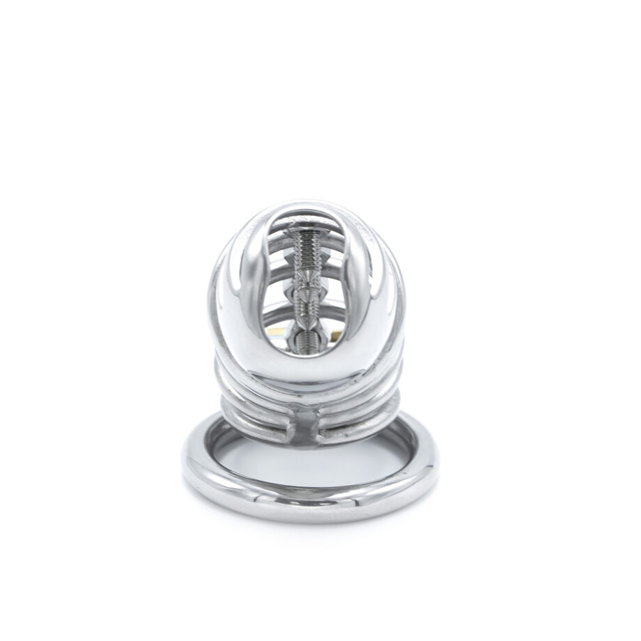 Modern Torture Chastity Device