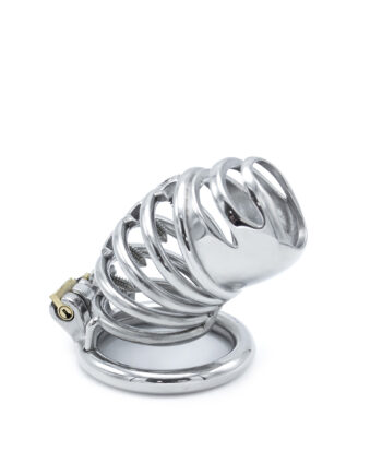 Modern Torture Chastity Device