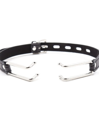 Mouth Gag with Hooks