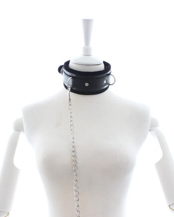 Padded Collar with Leash Black