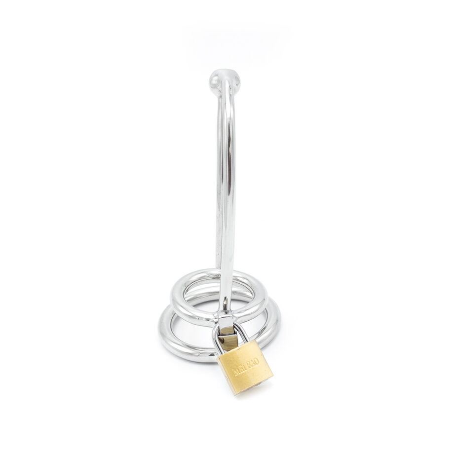 Penis Lock with Hollow Curved Penis Stick