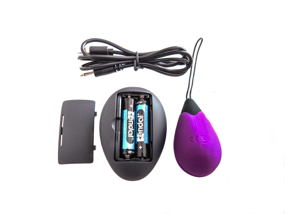 Remote Control Egg G1 - Purple