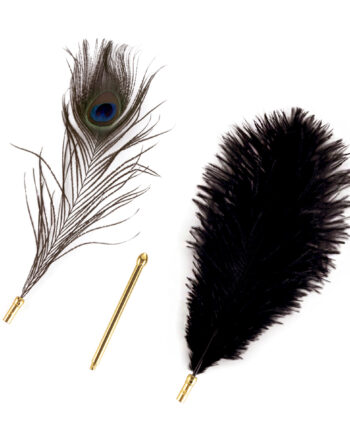Sevanda Natural Peacock Flirting Feather Tickler