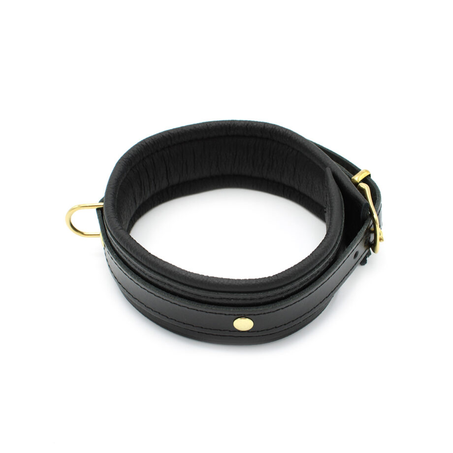 Shiny Black Leather Collar