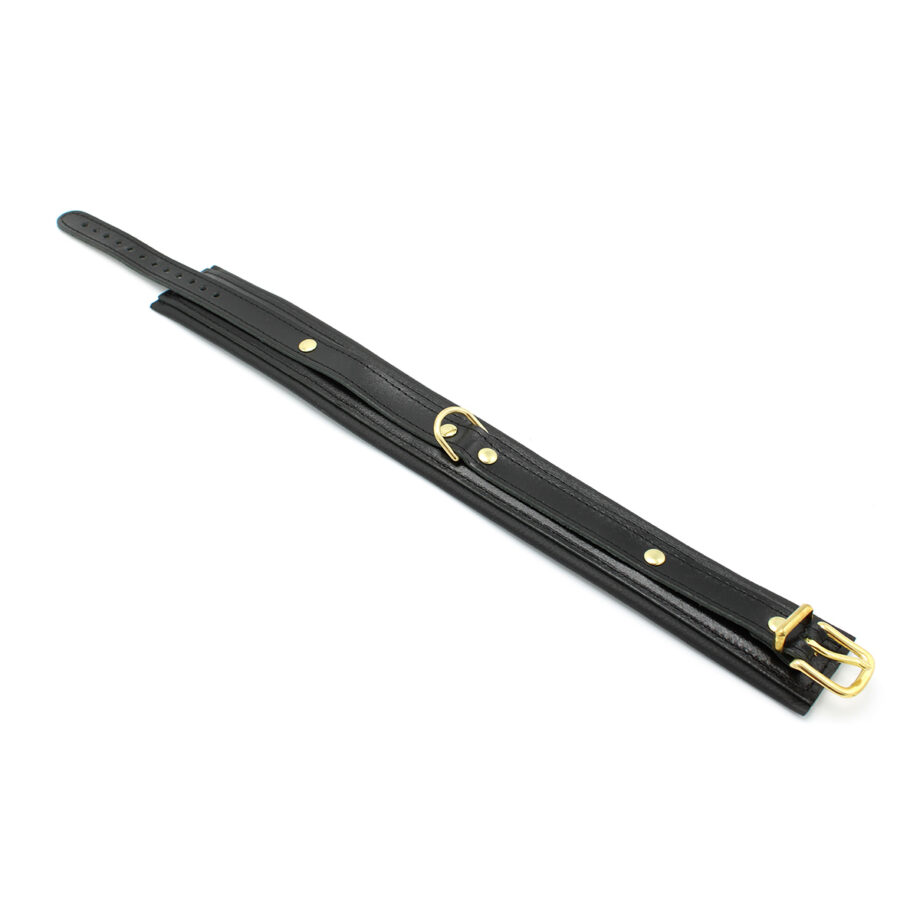Shiny Black Leather Collar