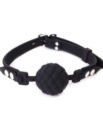 Silicone Ball Gag Fancy