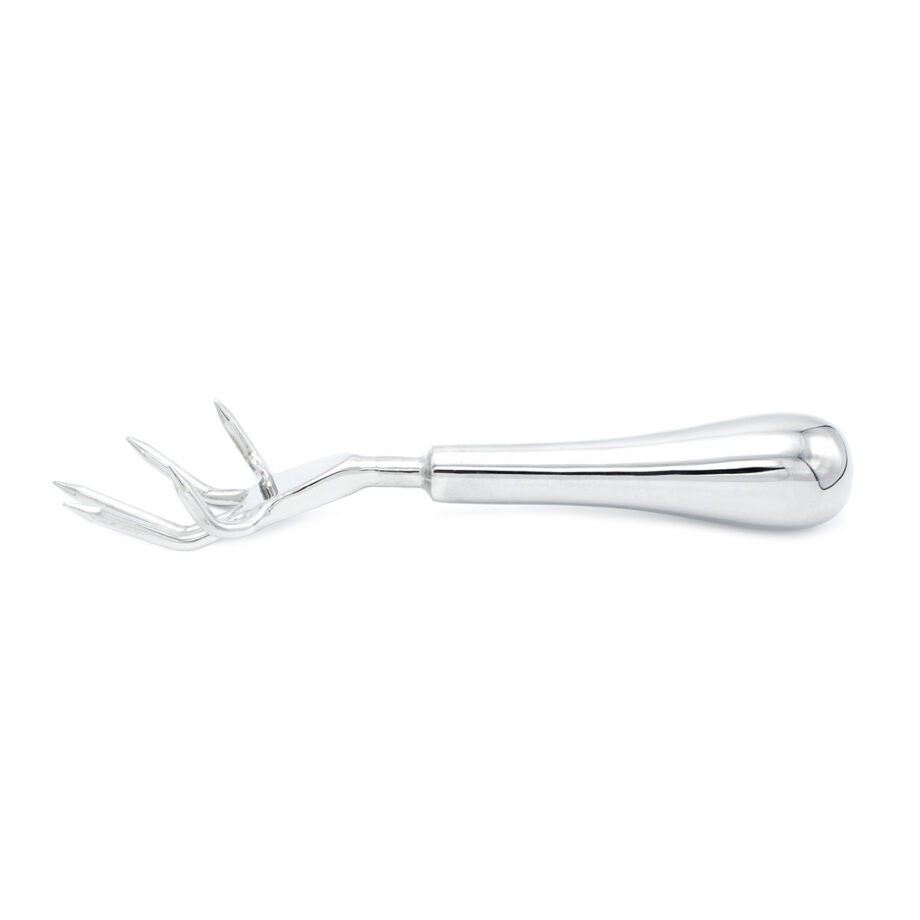 Stainless Steel Claw Scratcher
