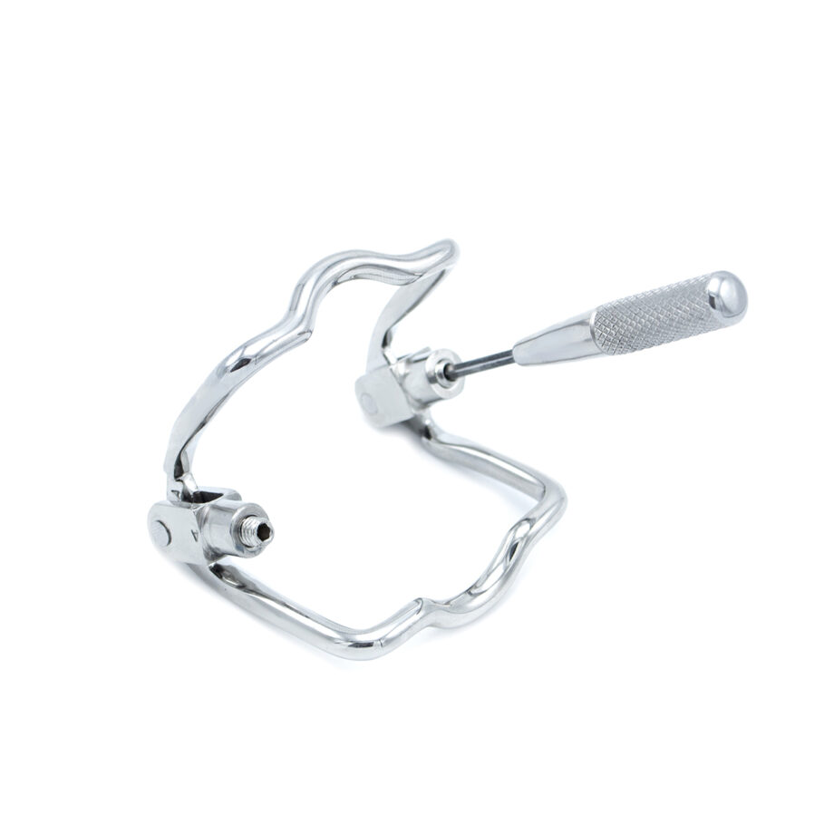 Steel Jaw Lock