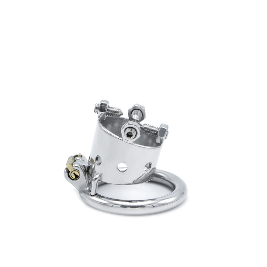 Torture Chastity Device