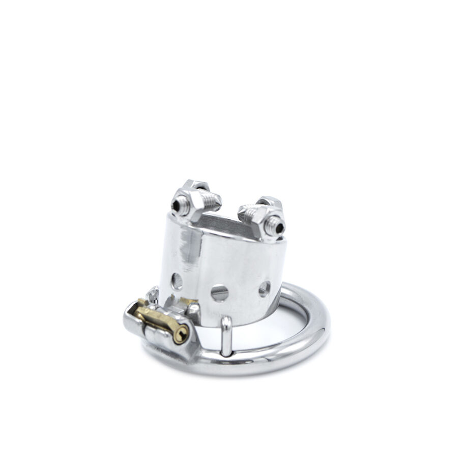 Torture Chastity Device