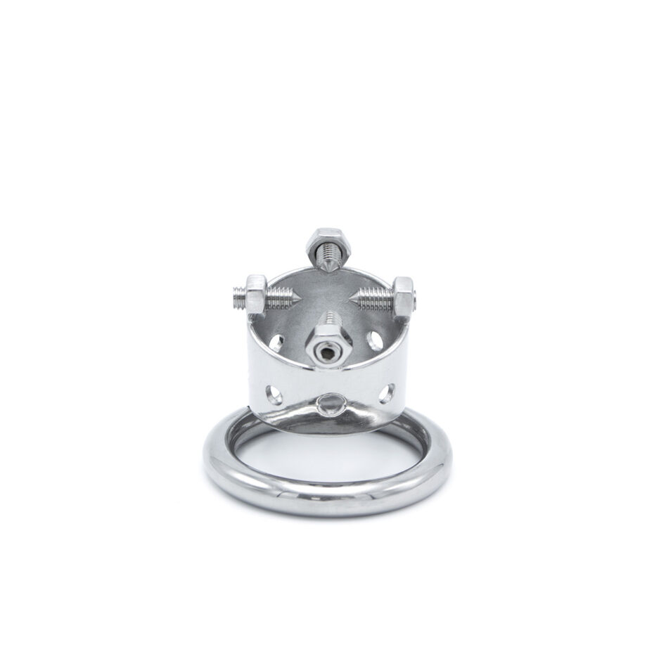 Torture Chastity Device
