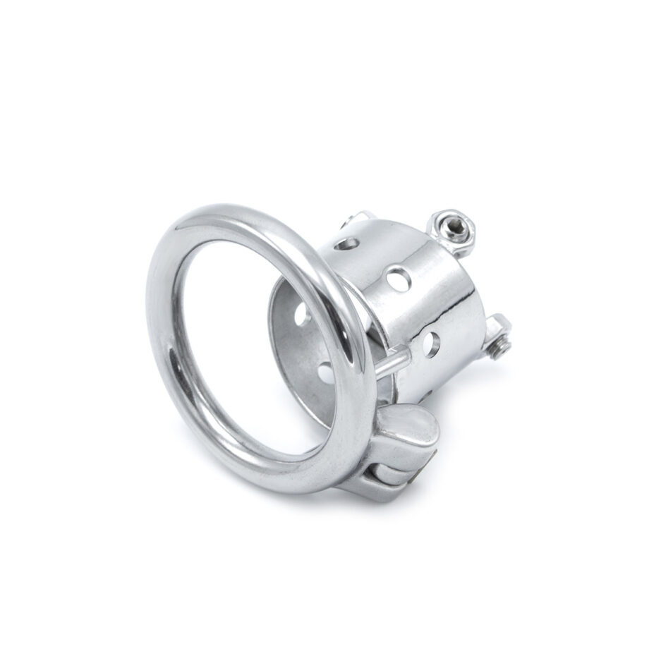 Torture Chastity Device