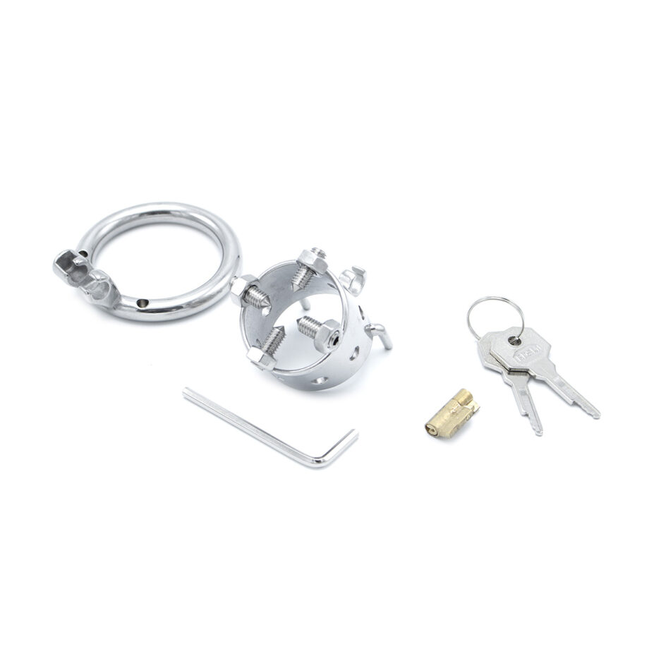 Torture Chastity Device