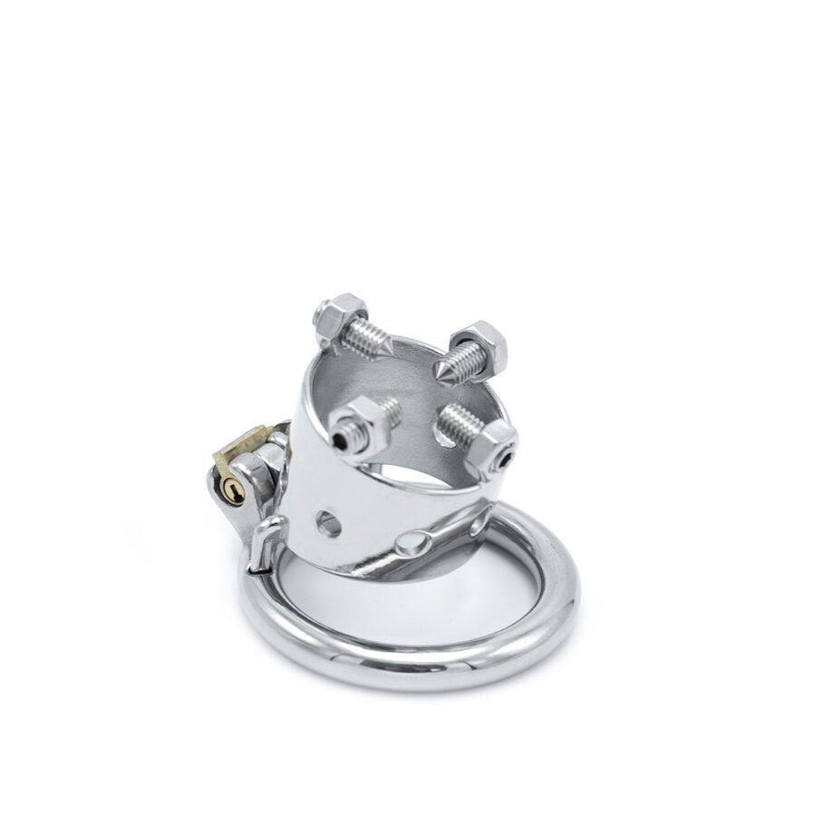 Torture Chastity Device