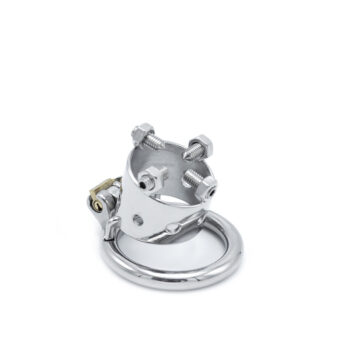 Torture Chastity Device