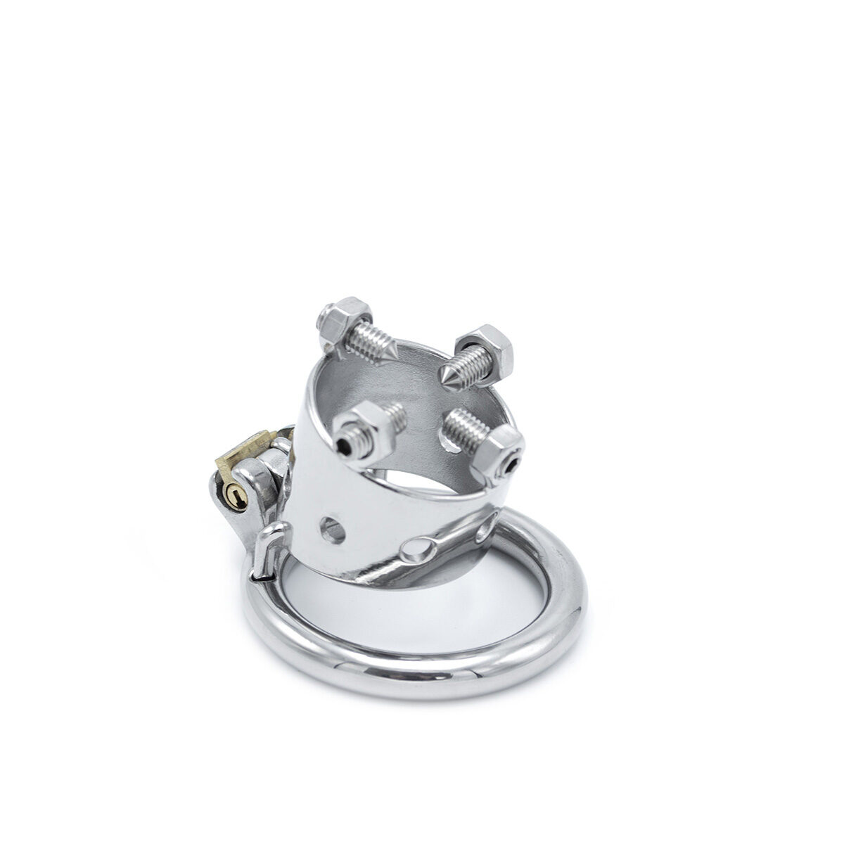 Torture Chastity Device