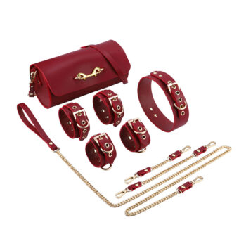 BDSM Deluxe 5 Item Kit